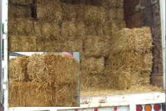 Straw is baled dried stalks of grain. Rock + Stone offers baled straw for erosion control, ground cover, water quality protection, or any other need you may have. Most commonly used for grass seeding.